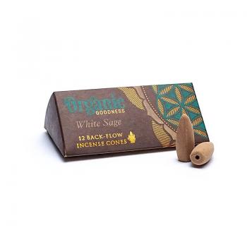 Organic White Sage weißer Salbei Rückflusskegel